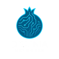 DELIMA Networks